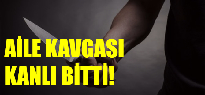 Kardeşini öldürüp annesini yaraladı