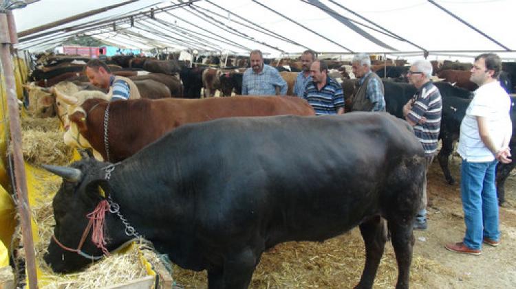 Kurban satıcıları memnun değil