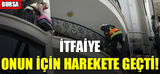 Bursa'da kedi kurtarma operasyonu!