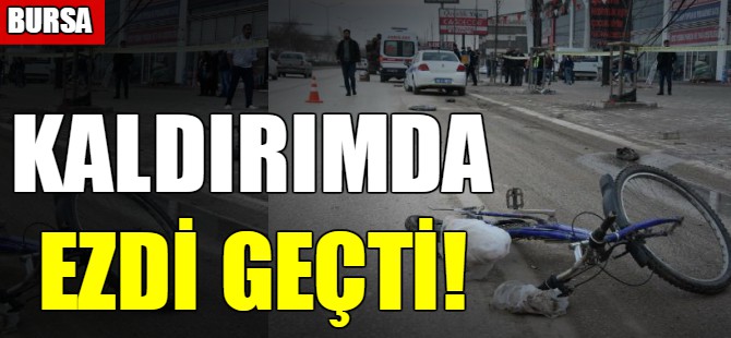 Bursa'da kamyon dehşet saçtı