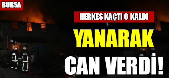 Yanarak can verdi!