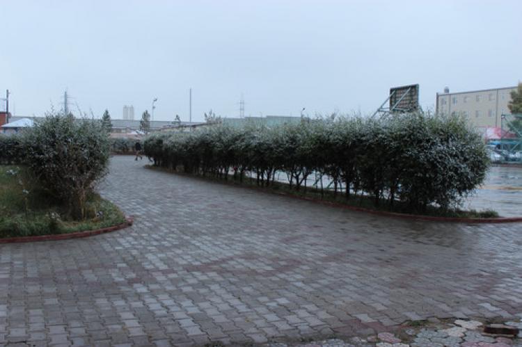 Moğolistan,  karla uyandı