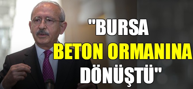 "Bursa beton ormanına dönüştü"