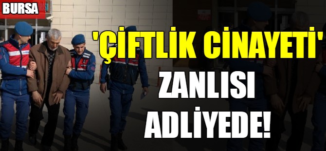 'Çiftlik cinayeti' zanlısı adliyede