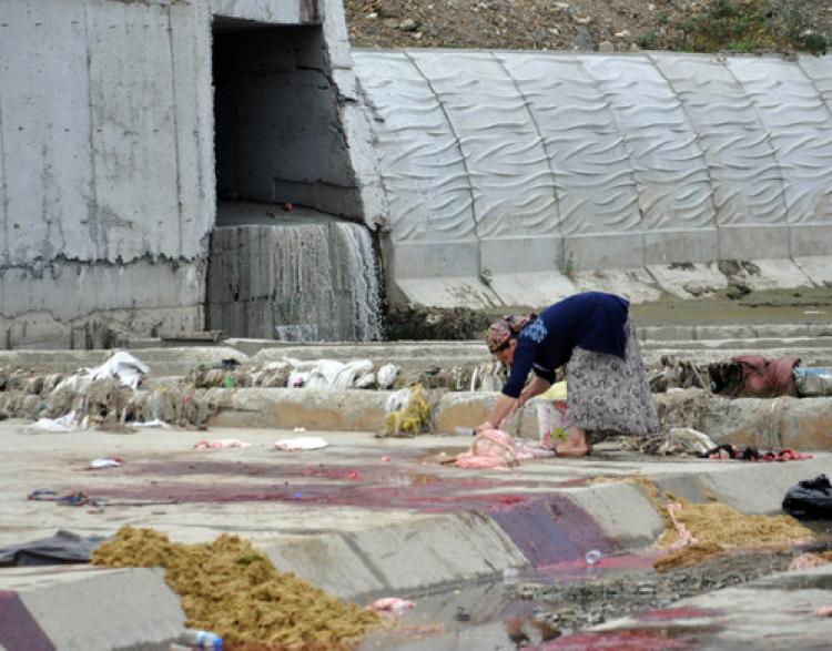 Lağım suyu akan derede kurban kestiler