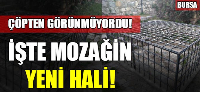 İşte mozağin yeni hali!