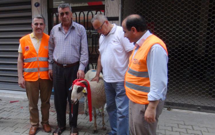 Kimse Yok Mu'dan şehit ailesine kurbanlık koç