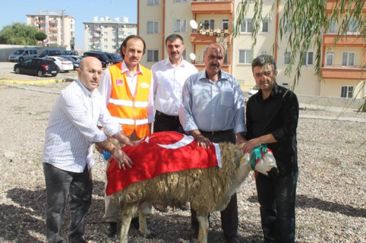 Kimse Yok Mu, Sivas’ta şehit polis için kurban kesti