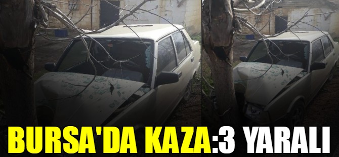 Bursa'da kaza!