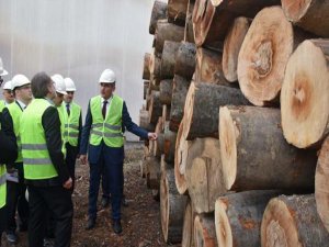 Ahşap Bursa'da masaya yatırıldı