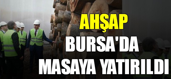 Ahşap Bursa'da masaya yatırıldı
