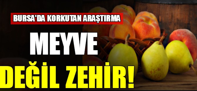 Bursa'da meyveden zehir çıktı!