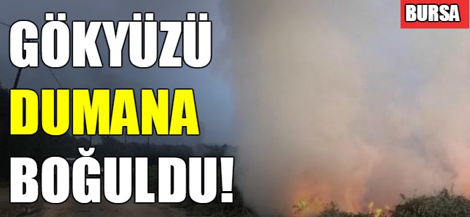 Gökyüzü dumana boğuldu