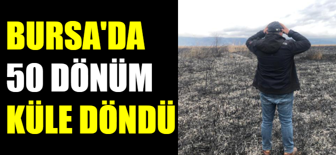 Bursa'daki yangına soruşturma