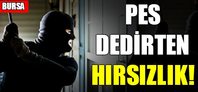 Pes dedirten hırsızlık!