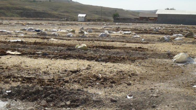 Temizlenmeyen kurban pazarları sağlığı tehdit ediyor