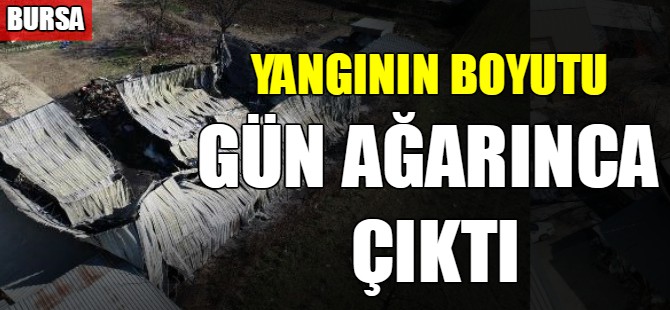 Yangının boyutu gün ağarınca çıktı