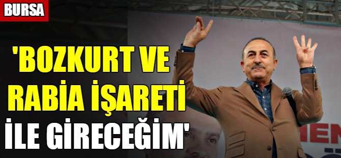 Çavuşoğlu Bursa'da