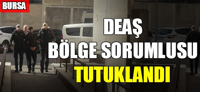 DEAŞ bölge sorumlusu tutuklandı