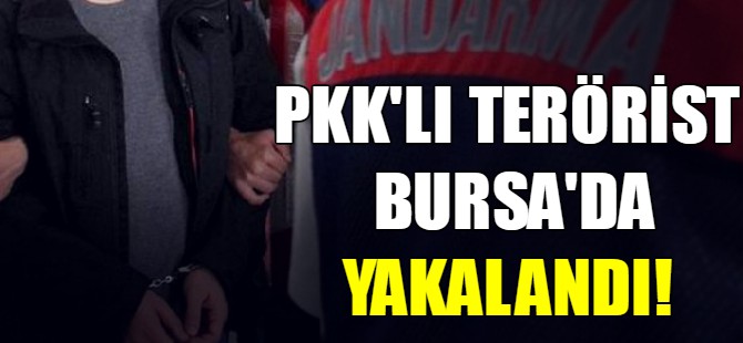 PKK'lı terörist Bursa'da yakalandı!