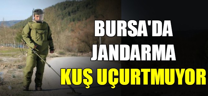 Bursa'da jandarma kuş uçurtmuyor