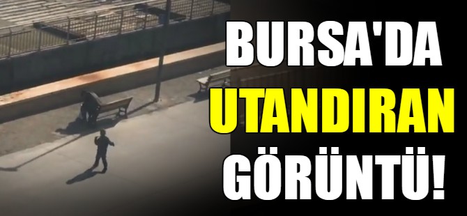 Bursa'da utandıran görüntü!