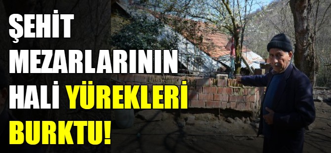 Şehit mezarlarının hali yürek burktu