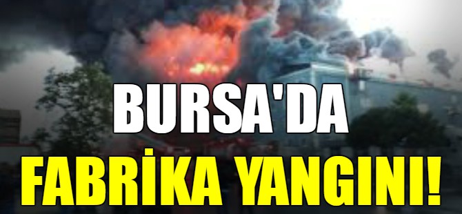 Bursa'da fabrika yangını!