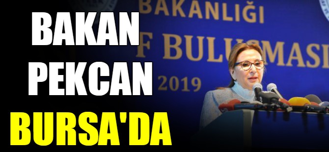 Bakan Pekcan Bursa'da