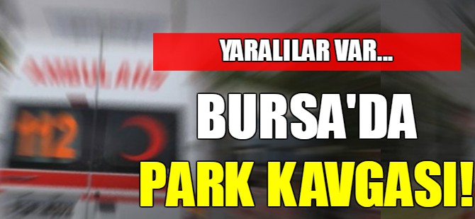Bursa'da park kavgası