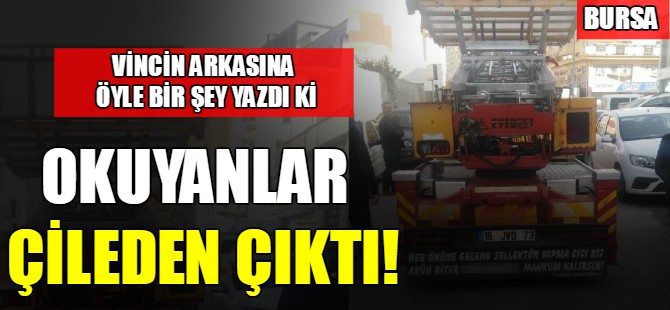 Bursa'da tepki çeken yazı