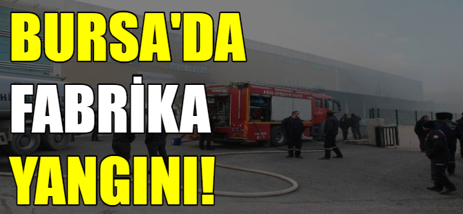 Bursa'da fabrika yangını!