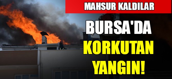 Bursa'da korkutan yangın!