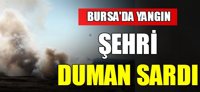 Bursa'da yangın