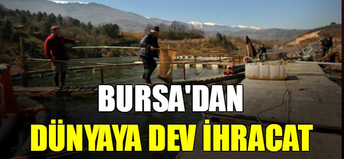Bursa'dan dünyaya dev ihracat