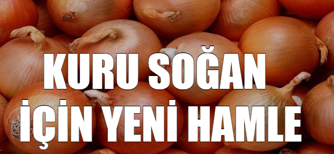Kuru soğan için yeni hamle