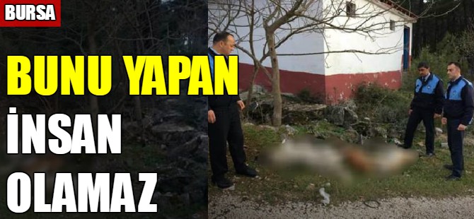 Bunu yapan nasıl insan?