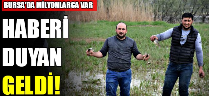 Haberi duyan geldi
