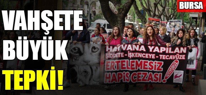 Hayvanseverlerden 'Yasa Değişsin' talebi