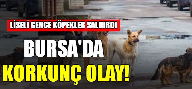 Bursa'da korkunç olay!