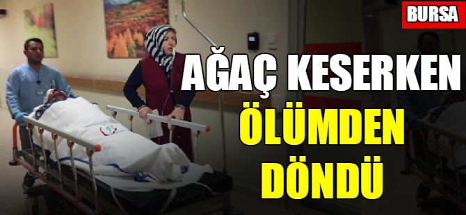 Ağaç keserken ölümden döndü