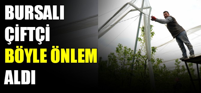 Bursalı çifçiler böyle önlem aldı