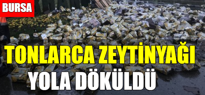 Bursa'da TIR devrildi