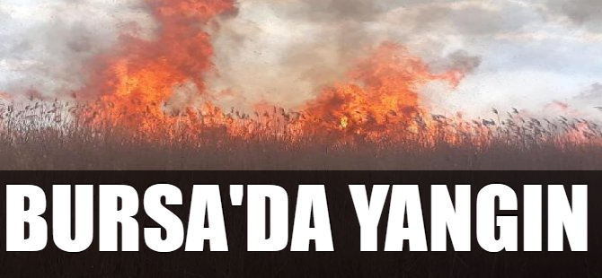 Bursa'da korkutan yangın