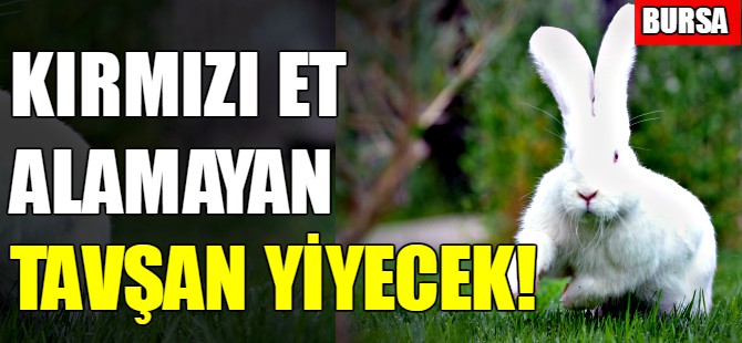 Kırmızı et alamayan tavşan yiyecek