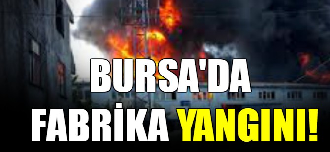 Bursa'da fabrika yangını!