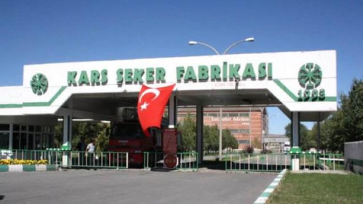 Kars'ta şeker pancarı alımı başladı