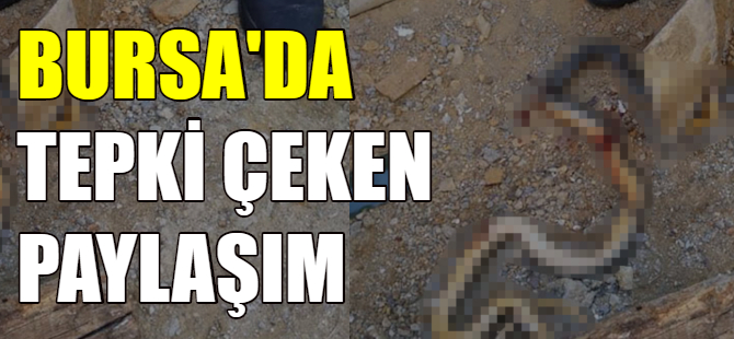 Bursa'da tepki çeken olay