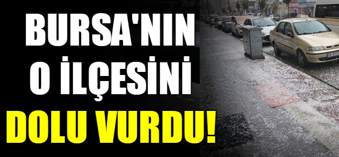 Bursa'nın o ilçesini dolu vurdu!