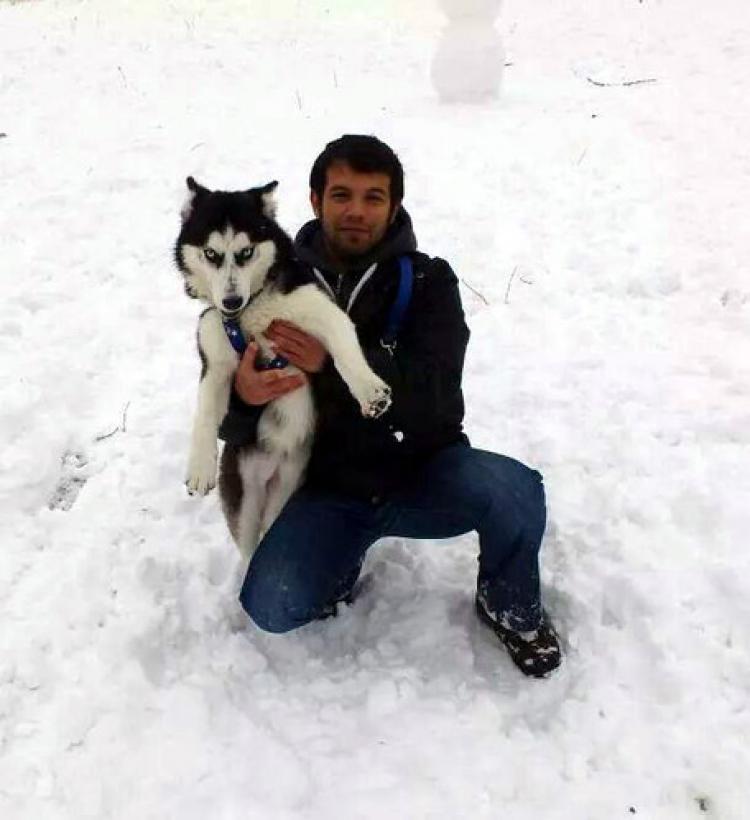 Kaybolan köpeğine ödül koydu